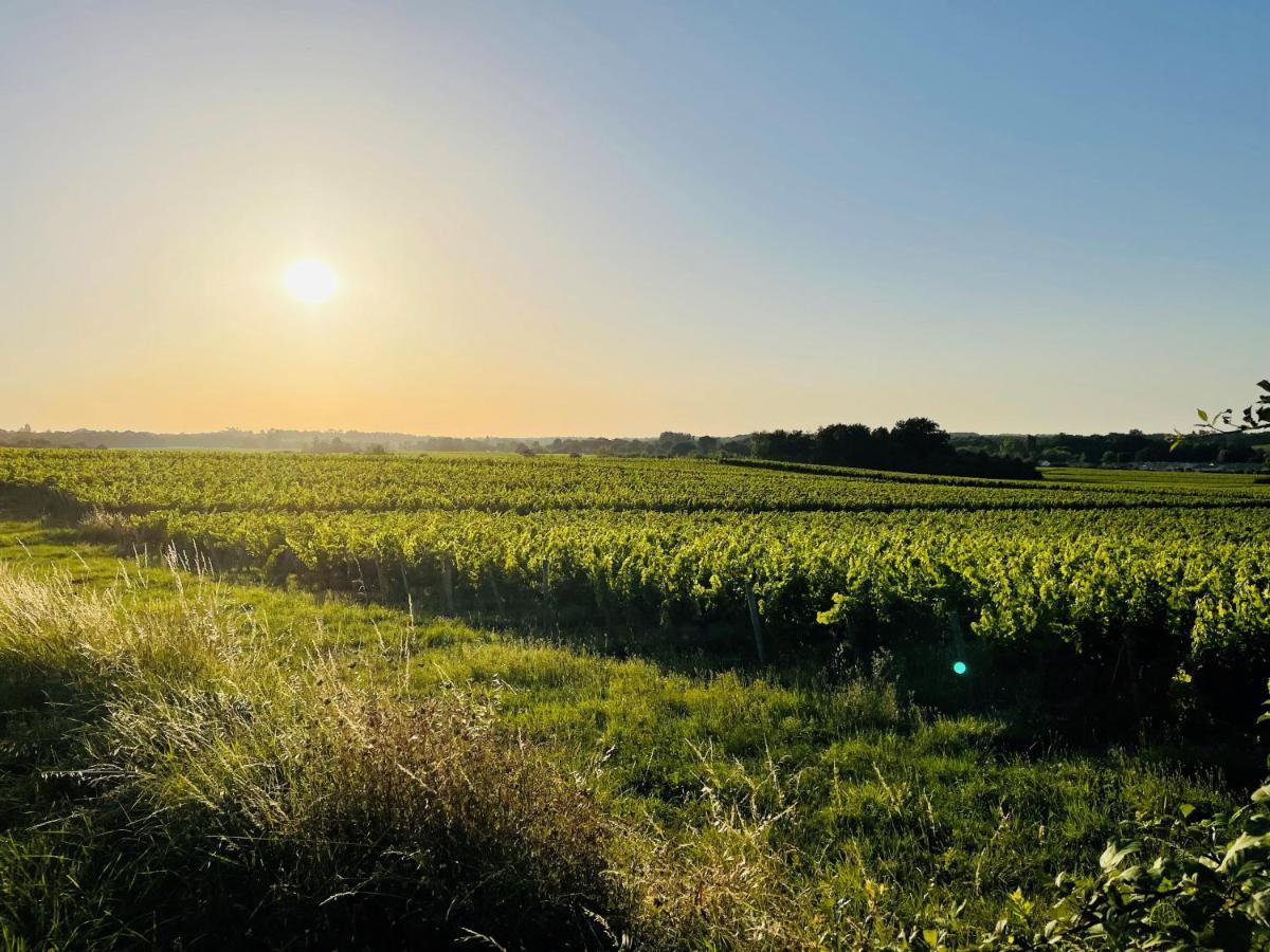 La Vigne D'Or Bed & Breakfast Teuillac Bagian luar foto